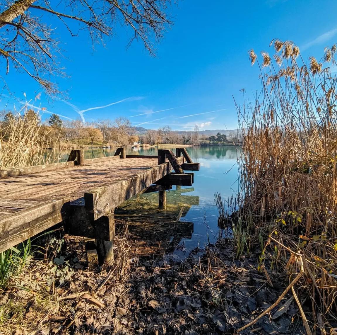 Studio Entre Lacs Et Montagnes Rumilly  Esterno foto